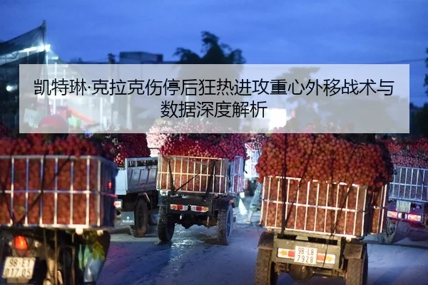 kai-te-lin-ke-la-ke-shang-ting-hou-kuang-re-jin-gong-zhong-xin-wai-yi-zhan-shu-yu-shu-ju-shen-du-jie-xi-2-541.jpg